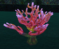 Thumbnail for version as of 12:56, 9 October 2025